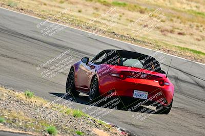 media/Mar-23-2025-West Coast Racing (Sun) [[de161b708f]]/Blue Group/Session 3 (Turns 3 and 5)/
